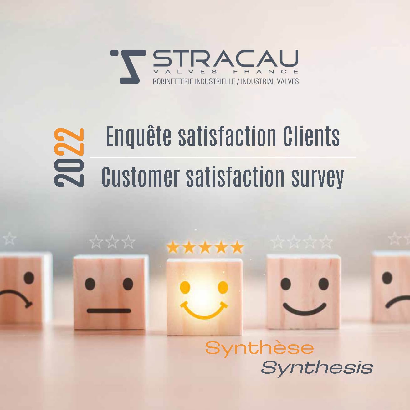 2022 satisfaction survey : results